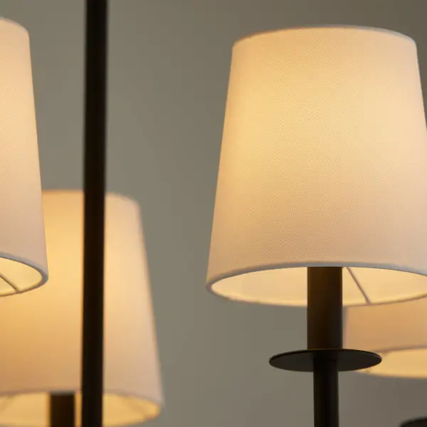 Belshaw 5-Light Chandelier in Matte Black - Image 3