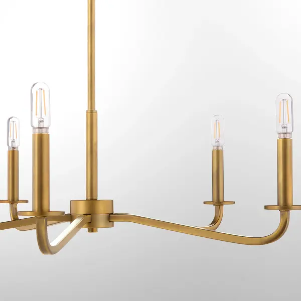Rutherford 5-Light Chandelier in Brushed Brass - Image 4