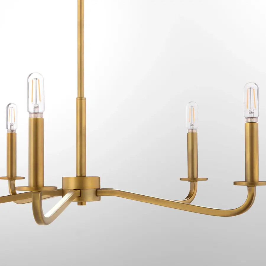 Rutherford 5-Light Chandelier in Brushed Brass - Image 4