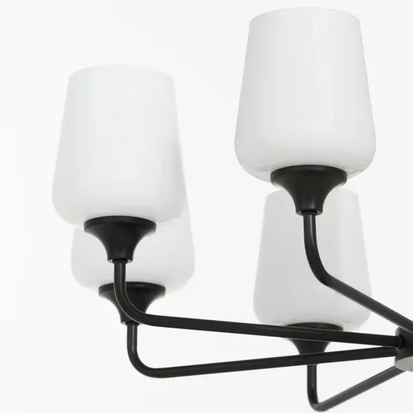 Raymond 8-Light Opal Chandelier in Matte Black - Image 4
