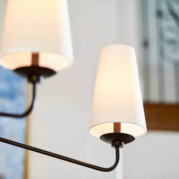 Euphora 6-Light Chandelier in Matte Black - Image 9