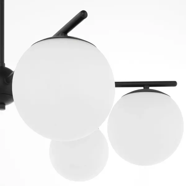 Jasper 6-Light Chandelier in Matte Black - Image 3