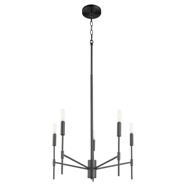 Hamilton 5-Light Chandelier in Matte Black - Image 5