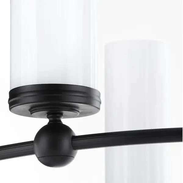 Lee Boulevard 8-Light Chandelier in Matte Black - Image 4