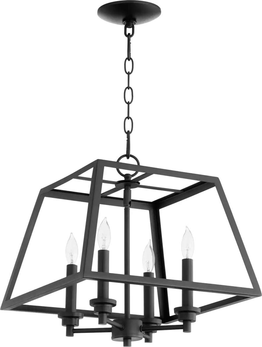 15" Caged Pendant Light in Black