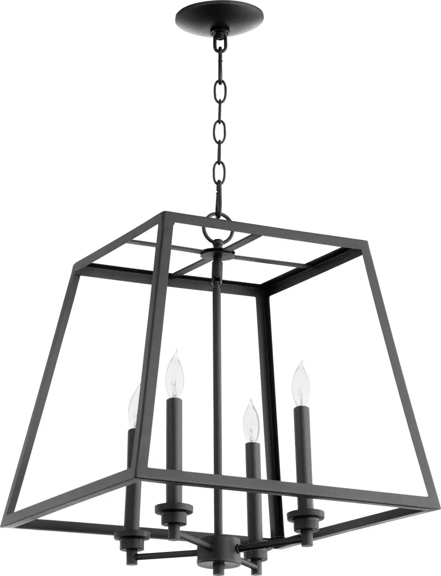 18" 4-Light Caged Pendant in Black - Image 1