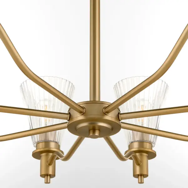 Lawton 8-Light Chandelier in Brushed Brass - Image 4