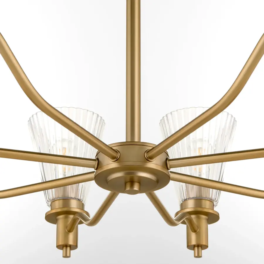Lawton 8-Light Chandelier in Brushed Brass - Image 4