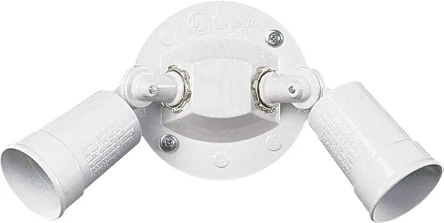 Transitional 2-Light Outdoor Wall Light