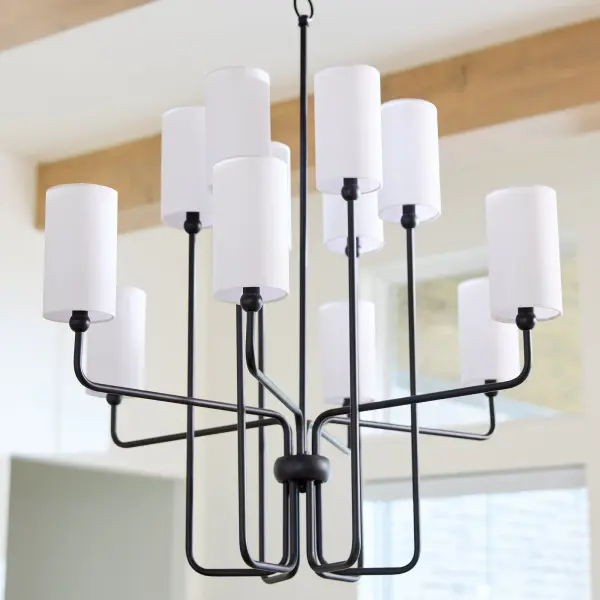 Charlotte 12-Light Chandelier in Matte Black - Image 5
