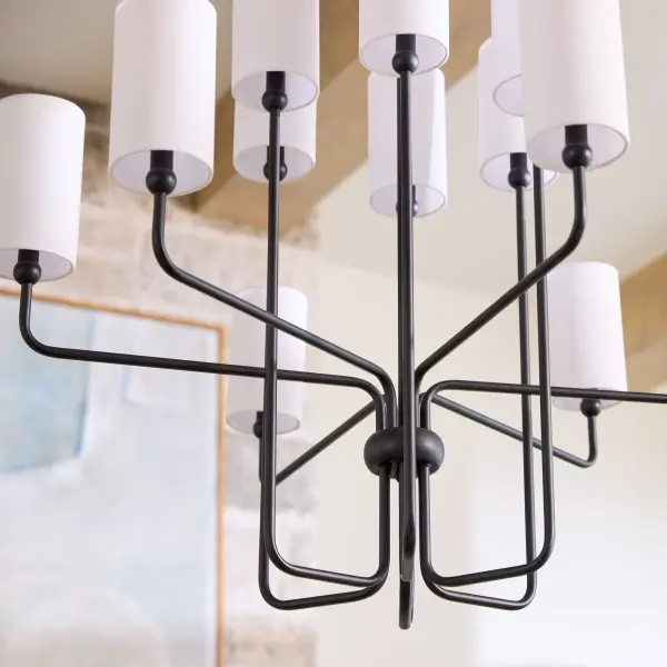 Charlotte 12-Light Chandelier in Matte Black - Image 9