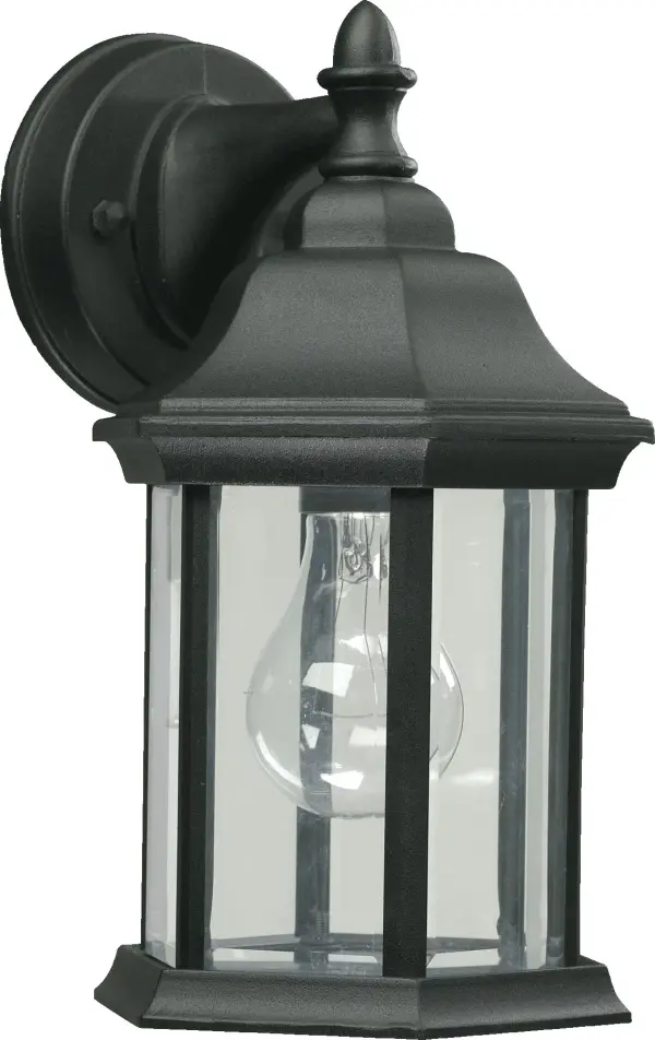 Traditional 11" Outdoor Wall Light in Black