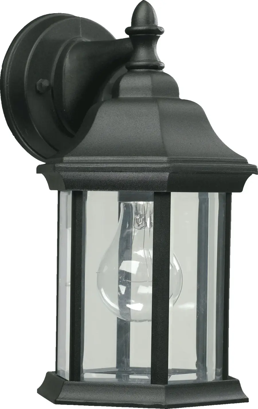 Traditional 11" Outdoor Wall Light in Black
