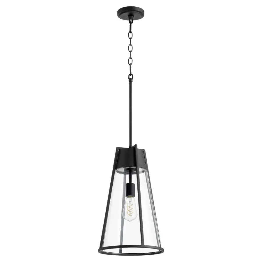 Black Transitional Pendant Light