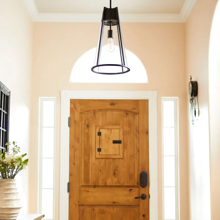 Black Transitional Pendant Light - Image 2