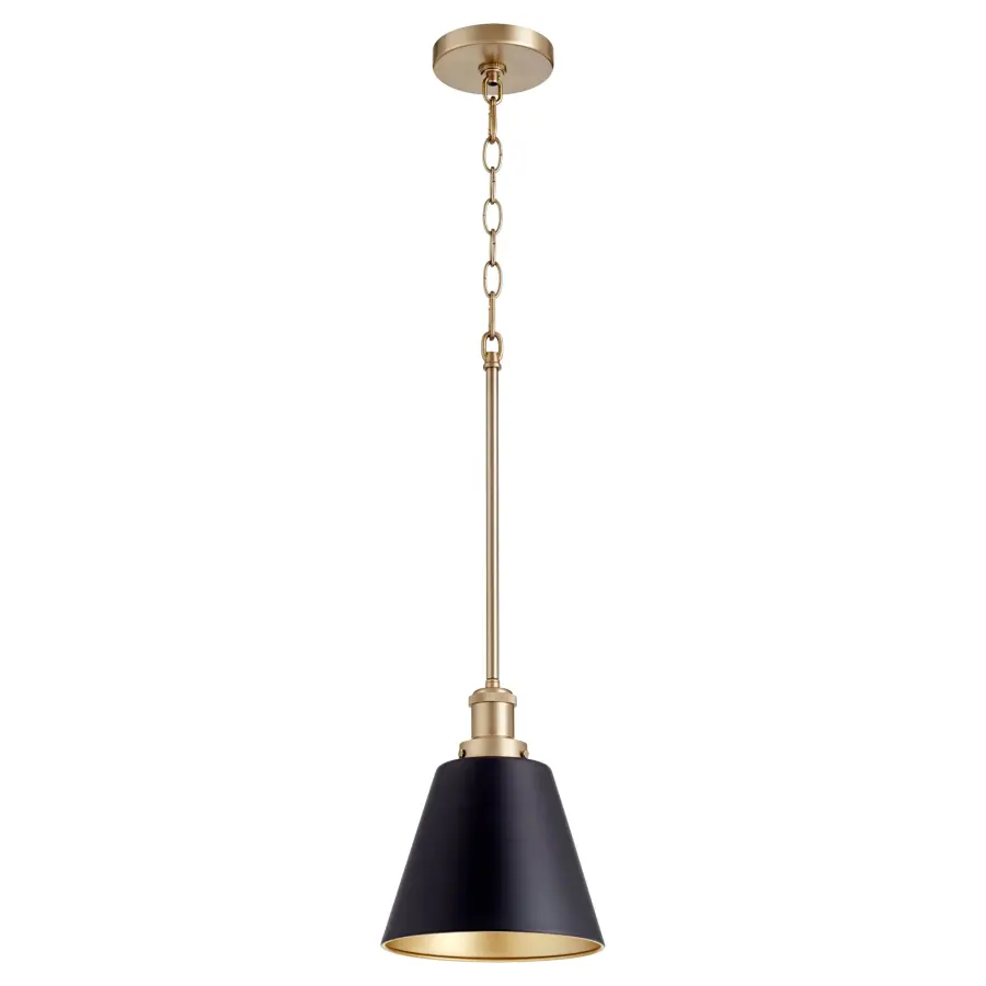 Black and Aged Brass Transitional Pendant - Image 1
