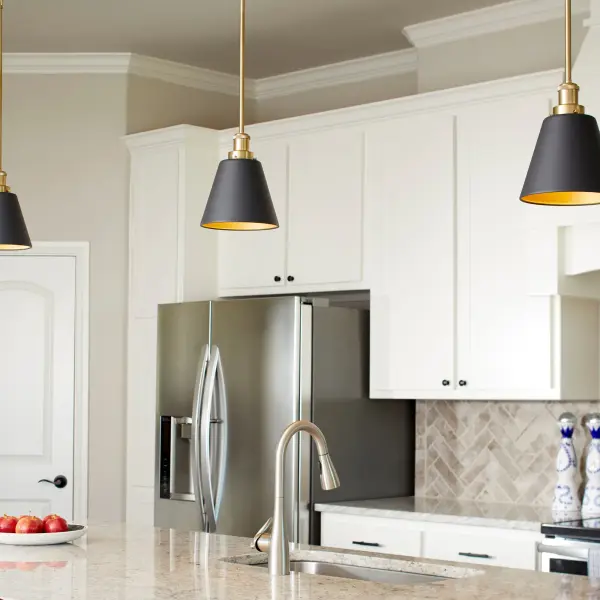 Black and Aged Brass Transitional Pendant - Image 3