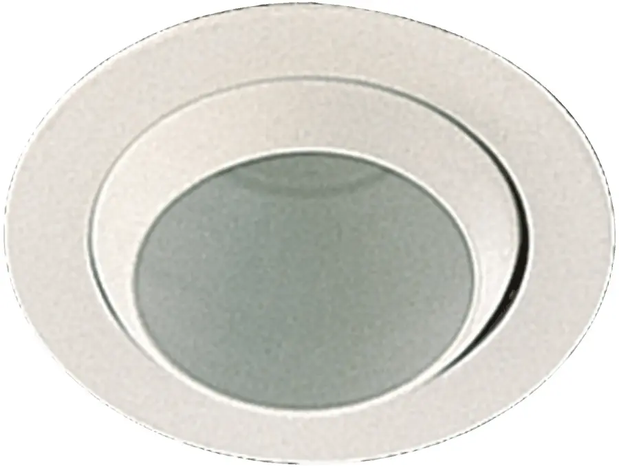 5" Adjustable Eyeball Recessed Light - White
