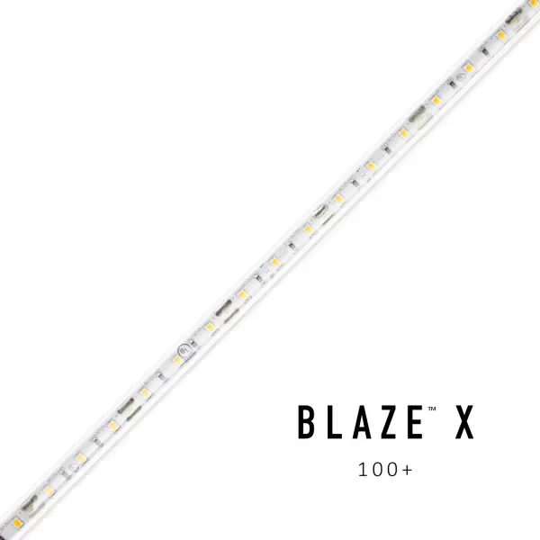 BLAZE X 100 LED Tape Light, 12V, 2400K, 16.4 ft. Spool