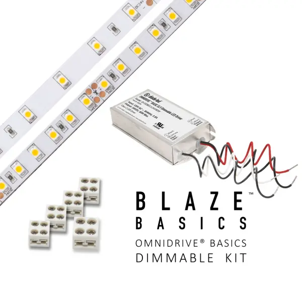 BLAZE 100 LED Tape Light, 12V, 2700K, 16.4 ft. Spool with 60W OMNIDRIVE BASICS ELV