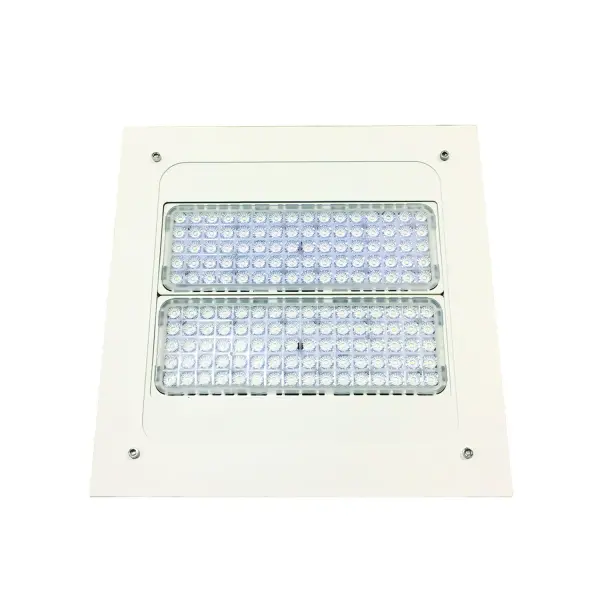 Recessed Canopy Light Fixture