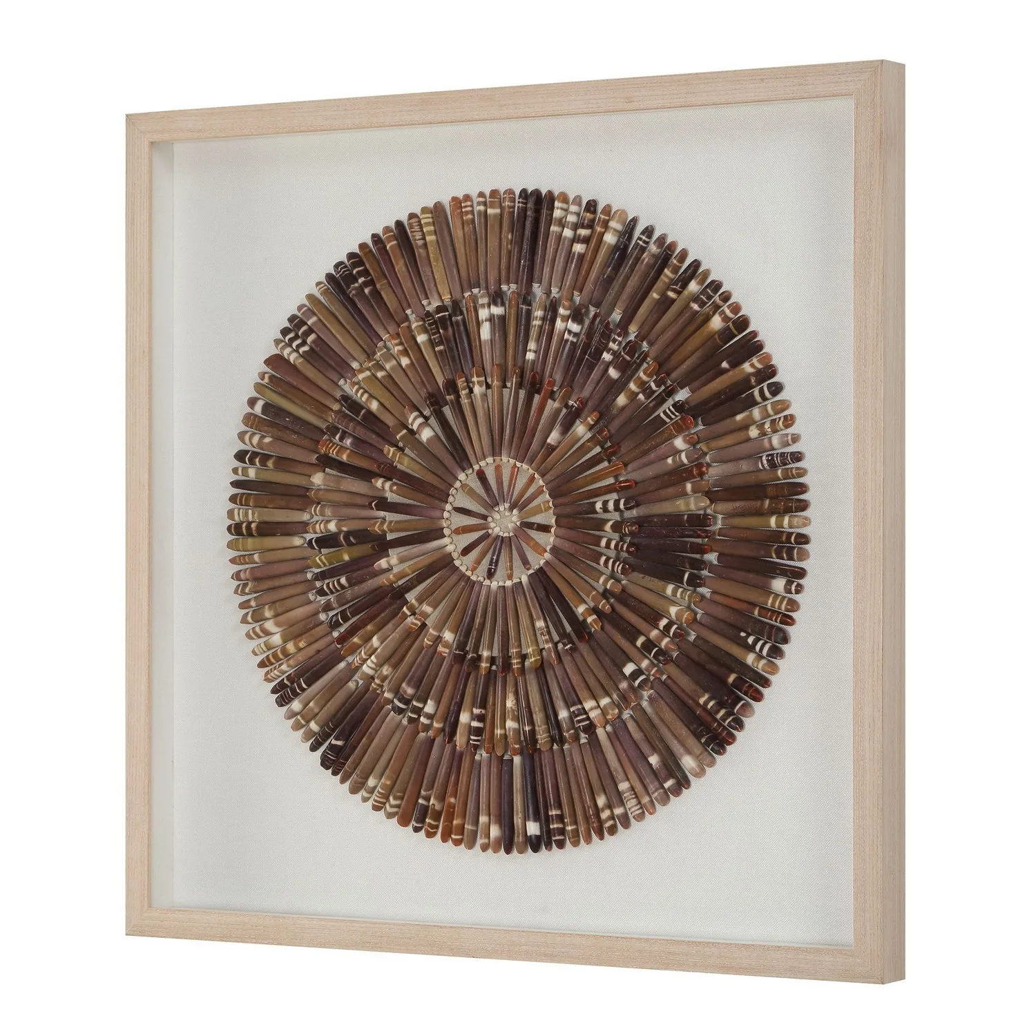Tiger Sea Urchin Shadow Box in Natural Pine Wood