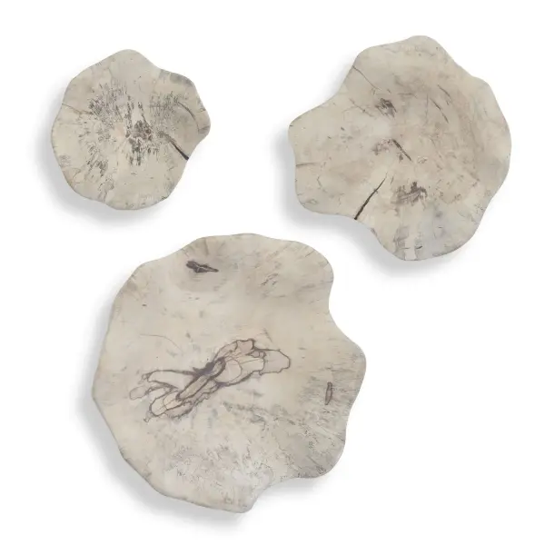 Handcrafted spalted tamarind wood panels in a light bleached finish offer organic texture and versatile display as wall or tabletop decor.