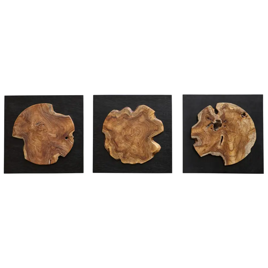 Kolini Wall Decor, Set of 3 in Satin Black