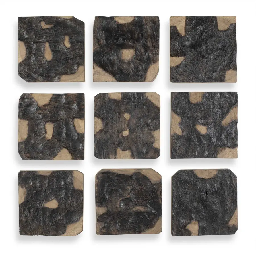 Ignite Wall Decor Set of 9 in Black and Natural