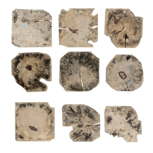 A set of nine light-bleached tamarind wood wall pieces offering natural texture and understated organic style for gallery-wall arrangements.
