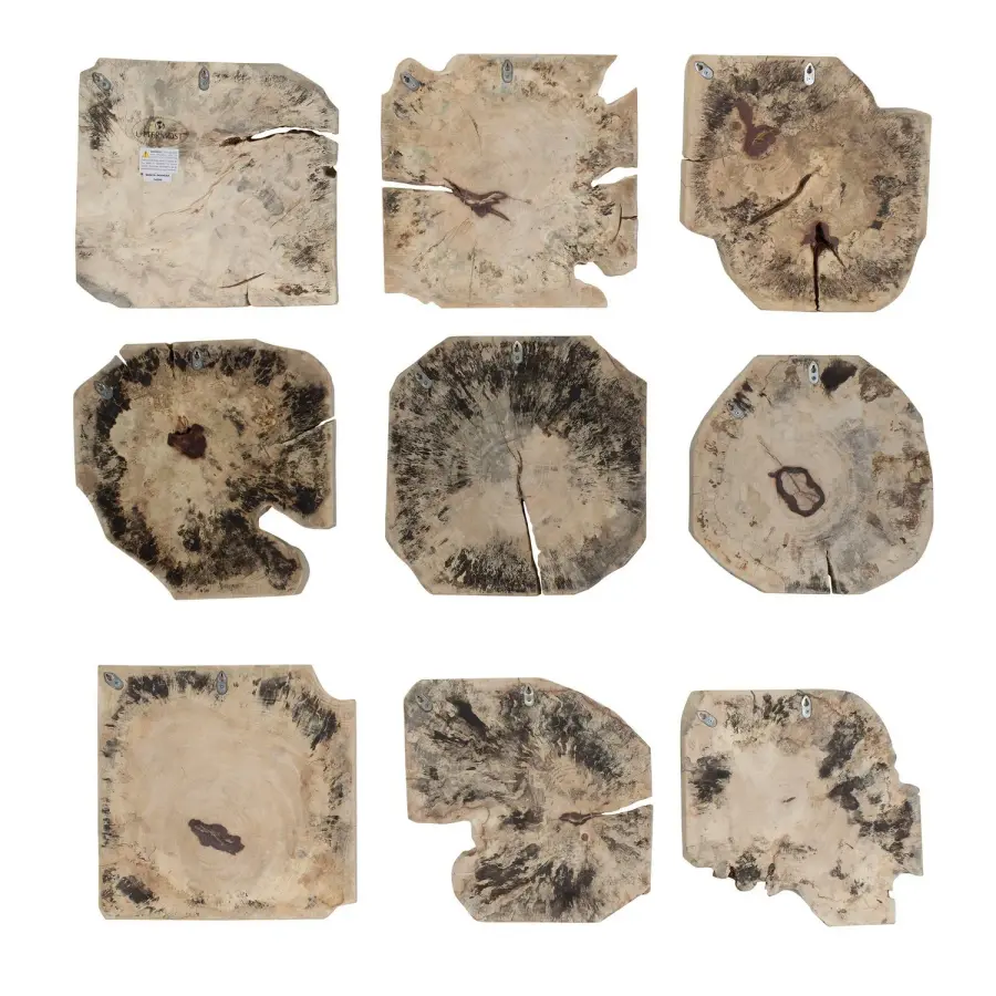 Bahati Wall Decor Set of 9 in Light Bleached Tamarind Wood