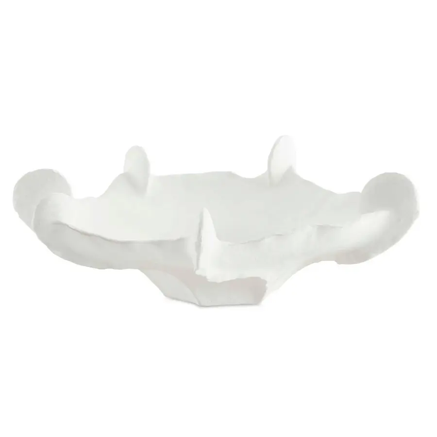 Uttermost Coral Mirage Sculptural Ceramic Bowl in Matte White
