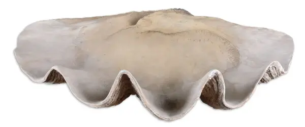 This antique white polyresin bowl mimics a clamshell for a decorative, beach-inspired accent piece suited to tabletops and shelves in coastal or eclectic interiors.
