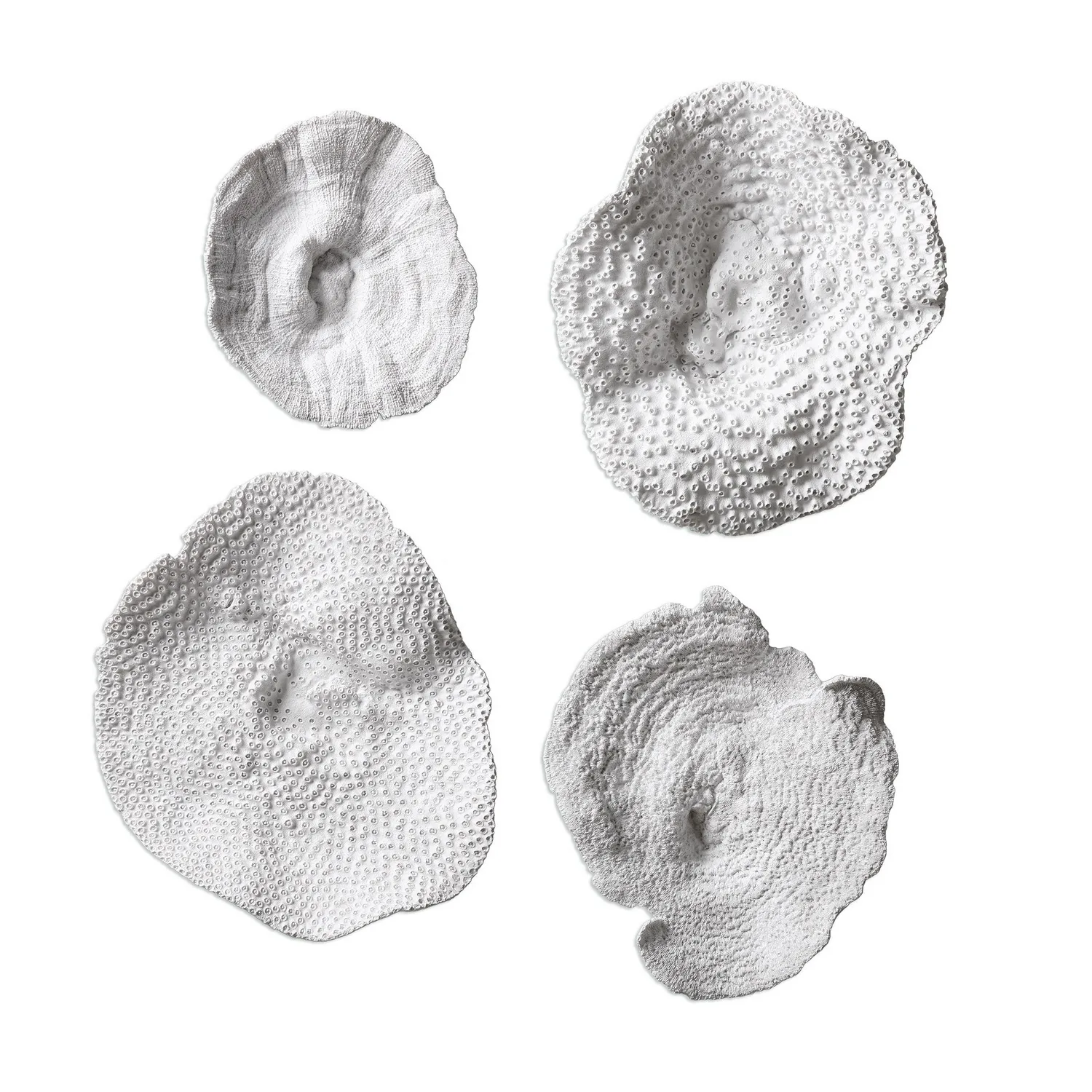 Sea Coral Wall Art in Antique White