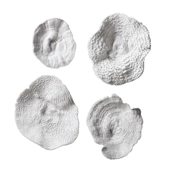 Sea Coral Wall Art in Antique White