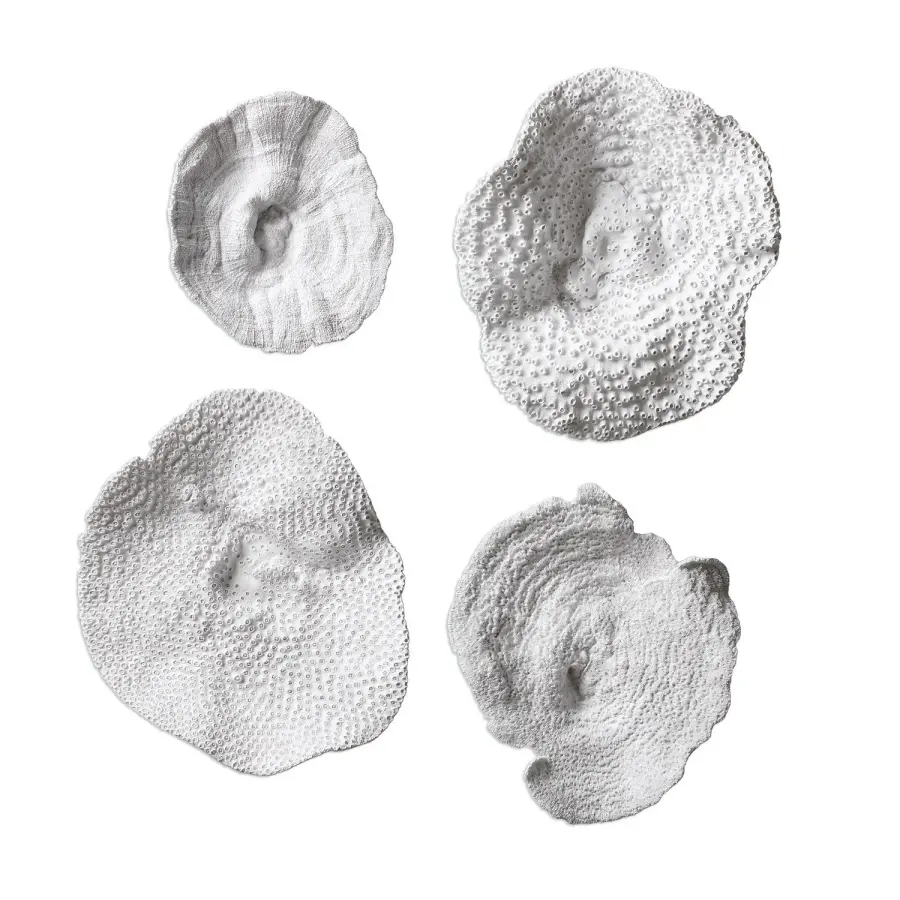 Sea Coral Wall Art in Antique White