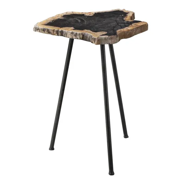 Featuring A Striking Cross Section Of Natural Petrified Wood With Unique Graining Details, Paired With Aged Black Finished Iron Legs. With This Authentic Material, Color Variations Can Range From Mostly Black To Completely Natural Along With A Size Range Of 10-17" Diameter. Collection: Mircea Designer: Matthew Williams Finish: Aged Black Width: 16.00" Height: 20.00" Length: 16.00" Weight: 14.33 lb Material: Wood, Plywood Country of Origin: Indonesia Safety Rating: Indoor Only