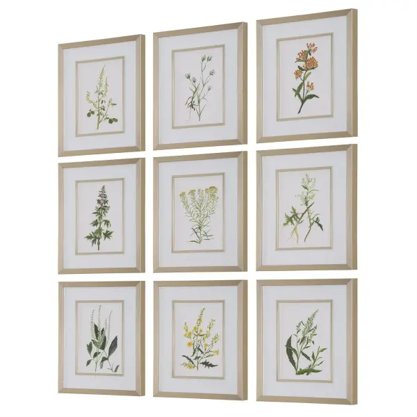 A set of nine botanical prints in sleek champagne frames with white linen mats, offering a refined, gallery-wall look with traditional appeal.