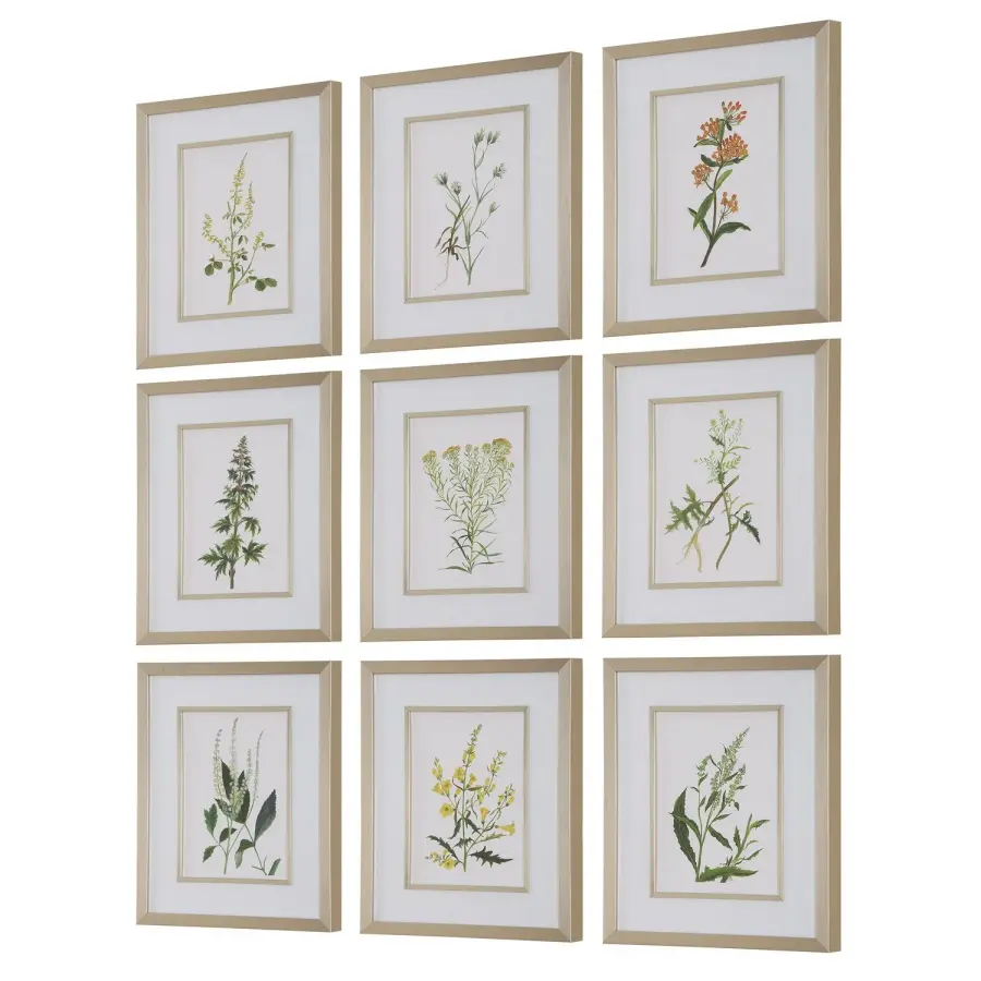 Botanical Flowers Framed Prints, Set of 9 in Champagne Gold