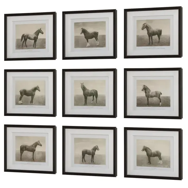 A traditional nine-piece wall art set featuring antiqued horse sketches in beveled walnut-finish wood frames with white linen liners and protective glass.