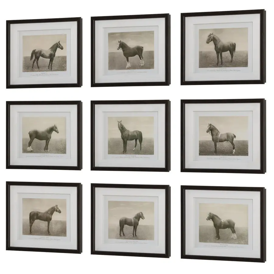 Equine Dynasty Framed Prints, Set of 9 in Dark Walnut