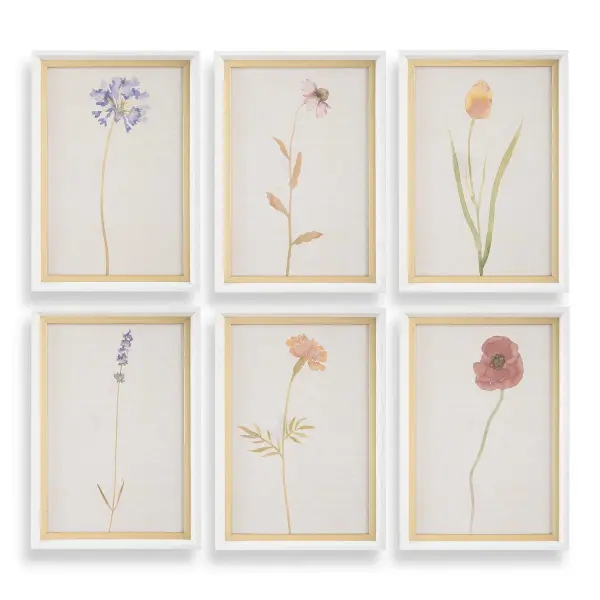 A set of six delicate floral watercolor prints in white wood veneer frames with gold liners, offering timeless botanical charm.