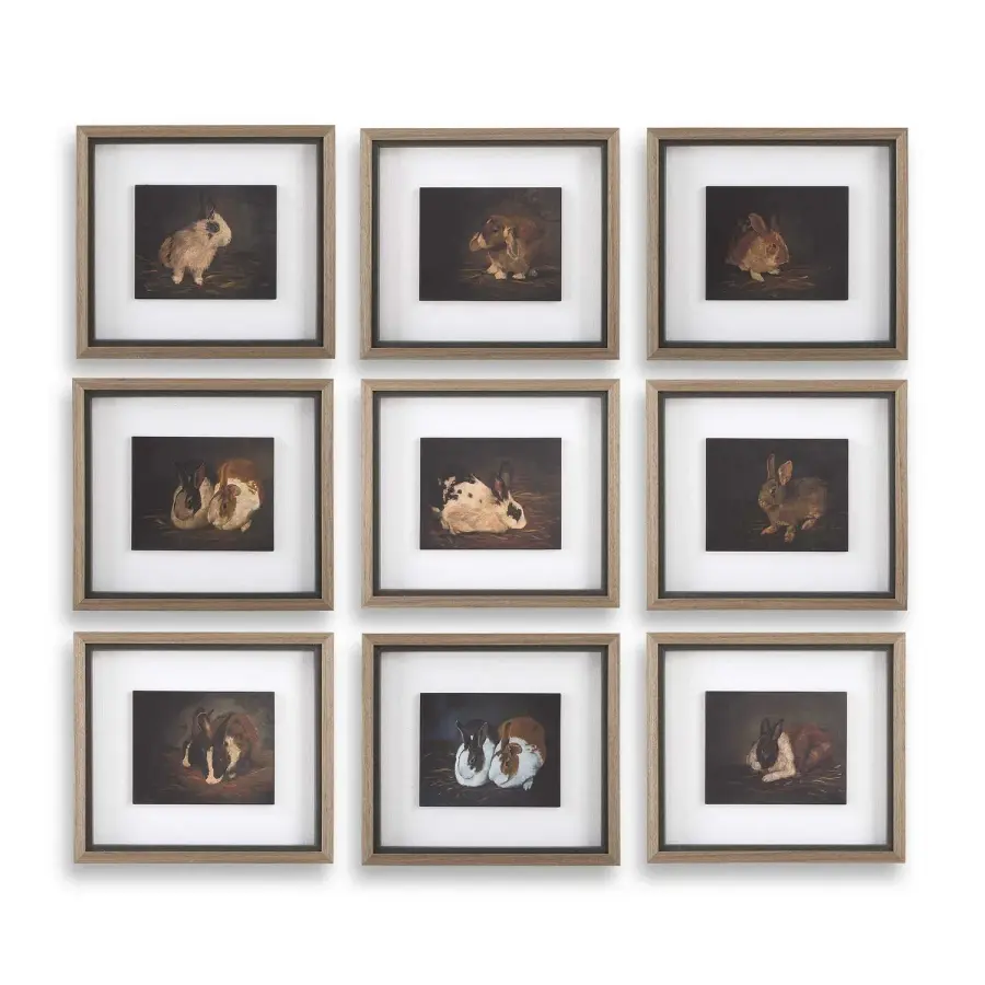 Resting Bunny Framed Print Set