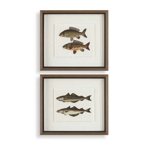 A set of two shadowbox-framed fish prints with deckled edges and a rustic gray frame, ideal for adding coastal character to walls at an accessible price.