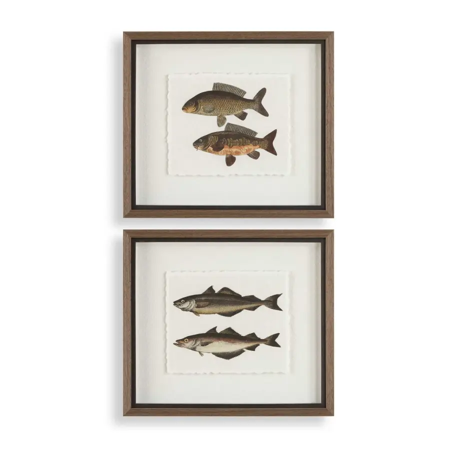 The Catch Framed Fish Prints, Set of 2