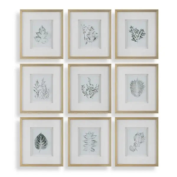 This set of nine framed botanical prints brings a classic, nature-inspired gallery wall look with gold frames and double cream mats under protective glass.