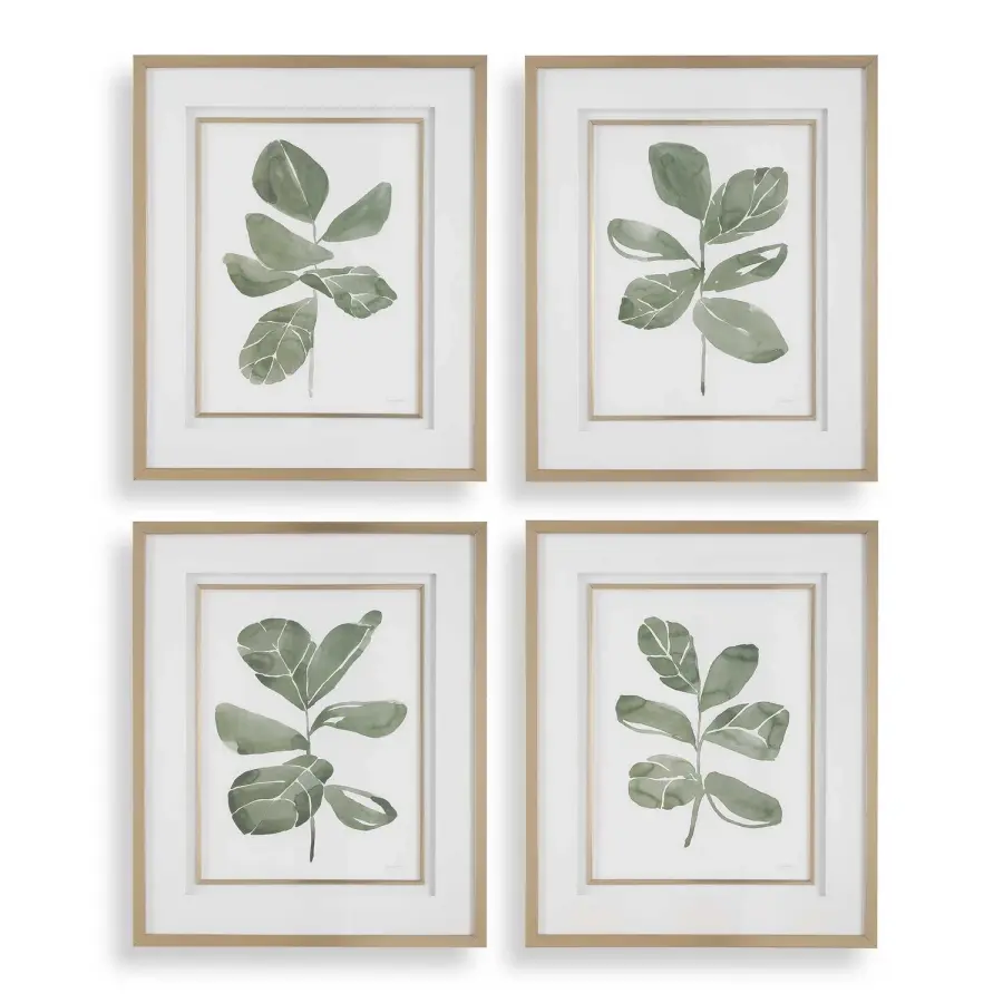 Fiddle Head Prints, Set of 4 in Golden Frame