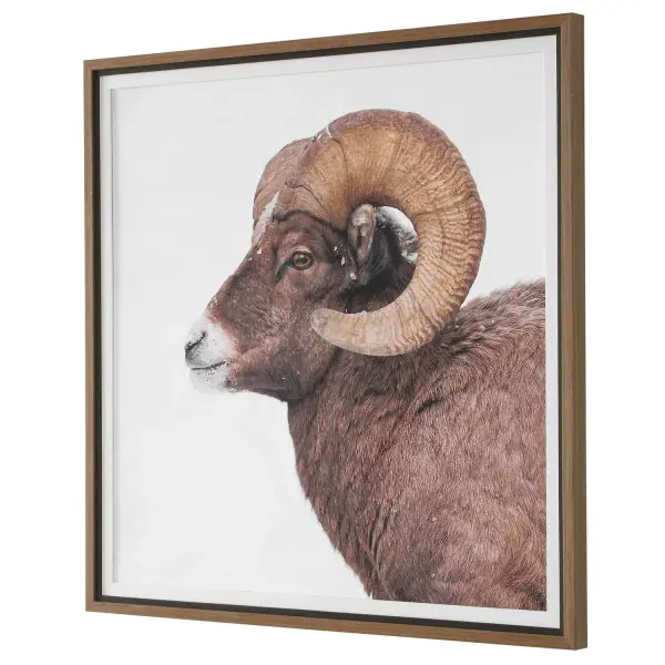 A striking close-up of a bighorn sheep set against a clean white background, framed in light walnut with a rustic black liner and linen mat for a polished lodge-style look.