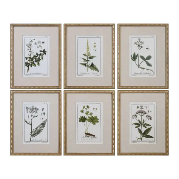 A classic botanical print with a distressed gold leaf frame and linen mat, this traditional wall art adds refined, timeless character to any room.