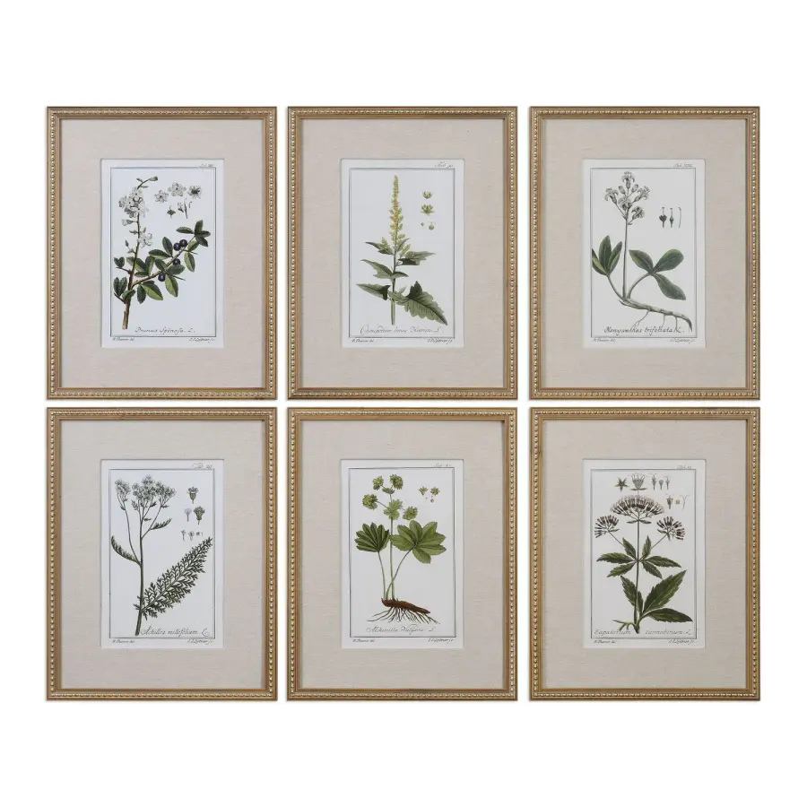 Green Floral Botanical Study Wall Art in Gold Leaf